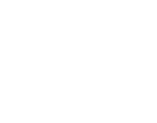 Seguro